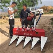 1中国体育彩票APP型割晒机荞麦割倒机稻麦微型收割机