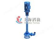 NL型立式污水泥漿泵