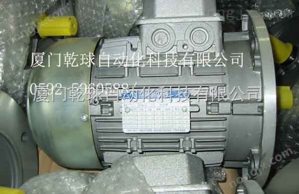 意大利NERI電機馬達代理T90S