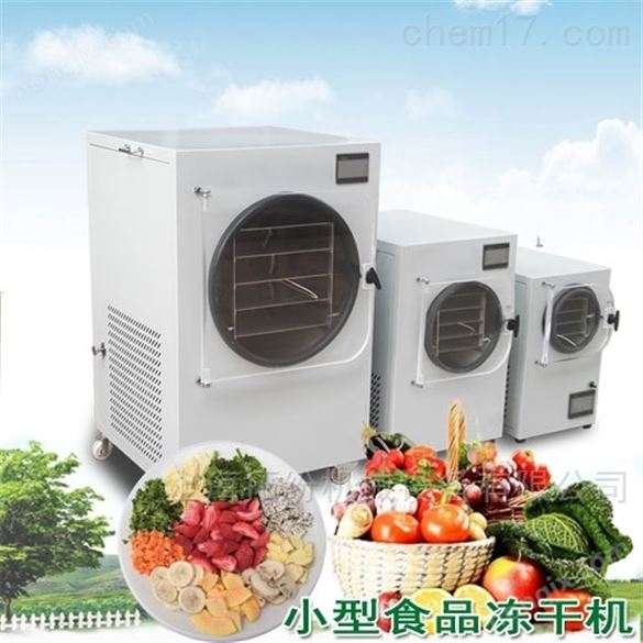 銷售果蔬冷凍干燥機公司